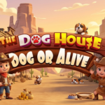 The Dog House – Dog Or Alive Slot Online Pragmatic Play
