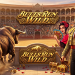 Bulls Run Wild: Adu Banteng yang Penuh Aksi dari Red Tiger